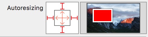 autoresizing_ib.png